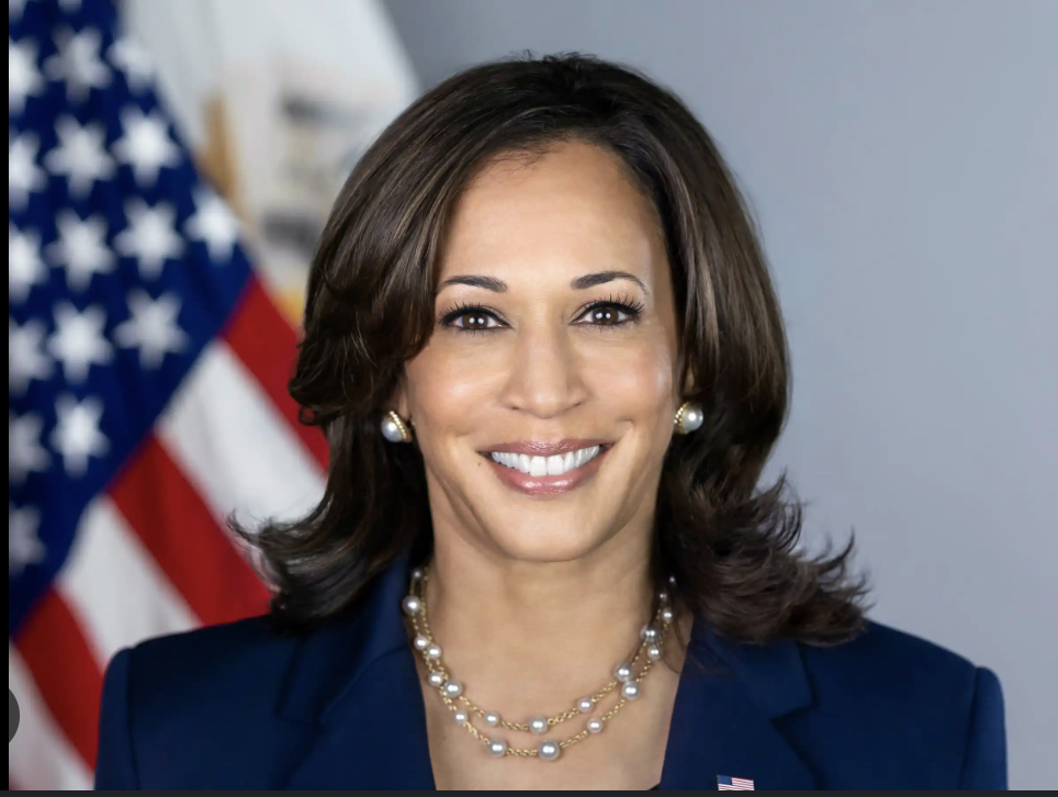 Read more about the article 40K Black Women Joined Forces on Zoom in Support of Kamala Harris