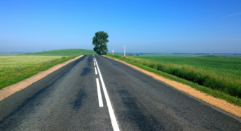 Do You Want God’s Path To A Blessed Life? The Power Of Psalm 1