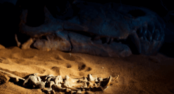 Wake Up These Dry Bones